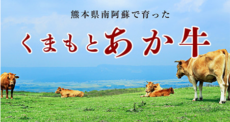 イメージ写真