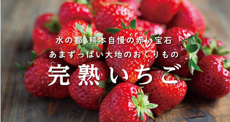 イメージ写真