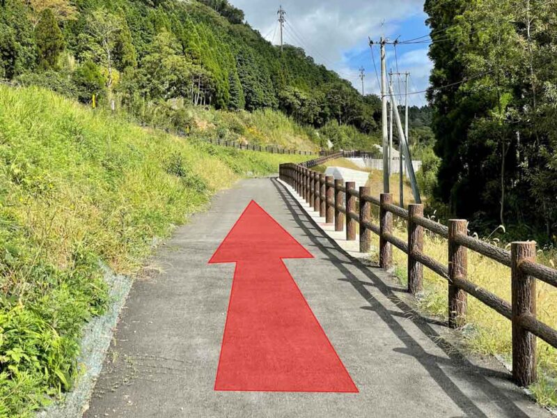 数鹿流ヶ滝（すがるがたき）展望所｜スポット情報｜みなみあそ info