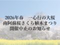 【2026年春】一心行の大桜：南阿蘇桜さくら植木まつり開催中止のお知らせ