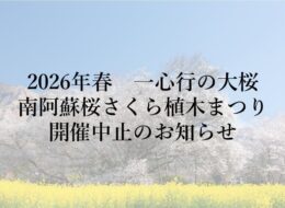 【2026年春】一心行の大桜：南阿蘇桜さくら植木まつり開催中止のお知らせ