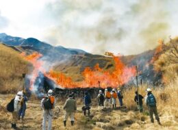 2026年春　阿蘇エリア『野焼き』の実施予定（2/13更新）