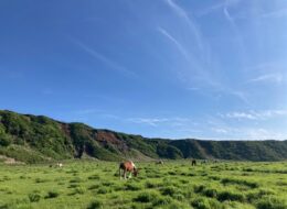 【2026/7/1~】南阿蘇から阿蘇山上へのアクセスが便利に!特急バス「あそちほ号」ダイヤ・経路変更のお知らせ